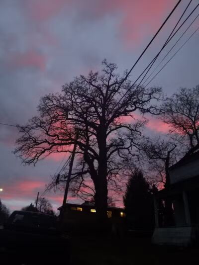 Lockwood Park - Petoskey, MI