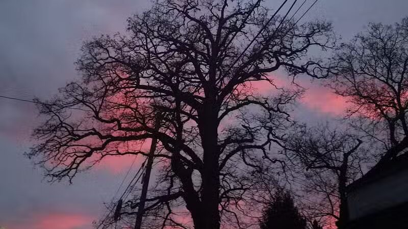 Lockwood Park - Petoskey, MI