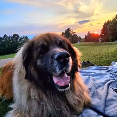 Lockwood Park - Petoskey, MI