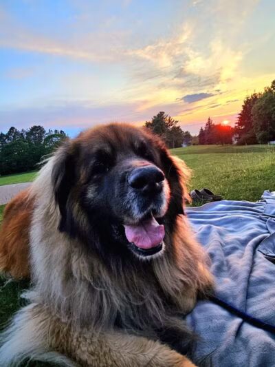 Lockwood Park - Petoskey, MI