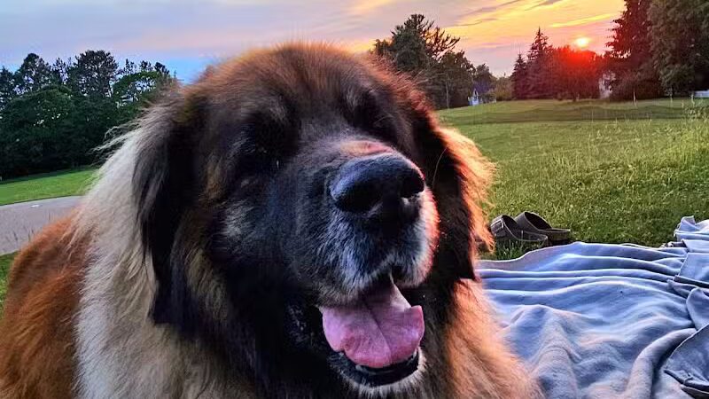 Lockwood Park - Petoskey, MI