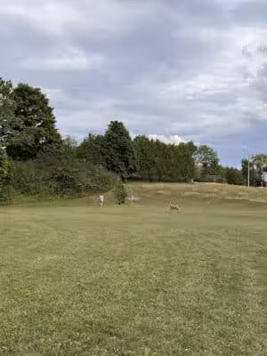 Washington Park - Petoskey, MI