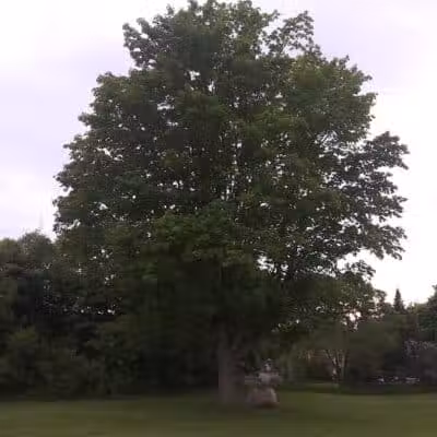 Washington Park - Petoskey, MI