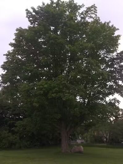 Washington Park - Petoskey, MI