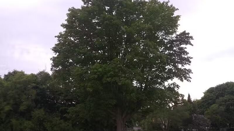 Washington Park - Petoskey, MI