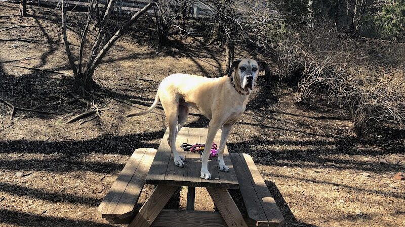Tucker Dog Park - Philadelphia, PA