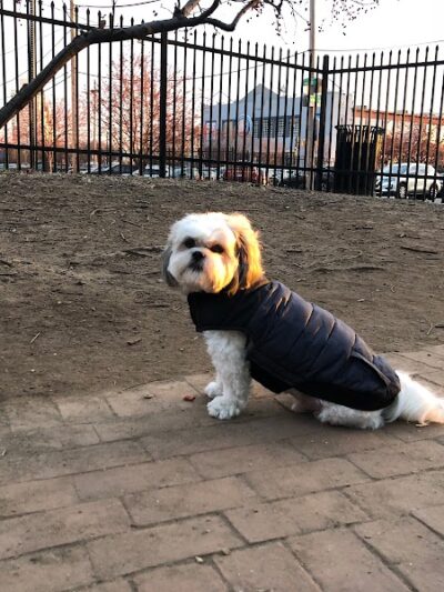 Tucker Dog Park - Philadelphia, PA