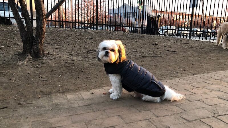 Tucker Dog Park - Philadelphia, PA