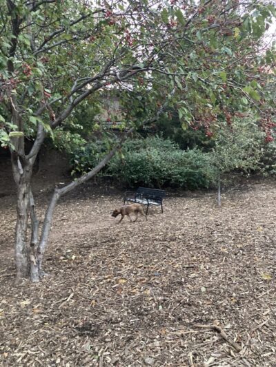 Tucker Dog Park - Philadelphia, PA