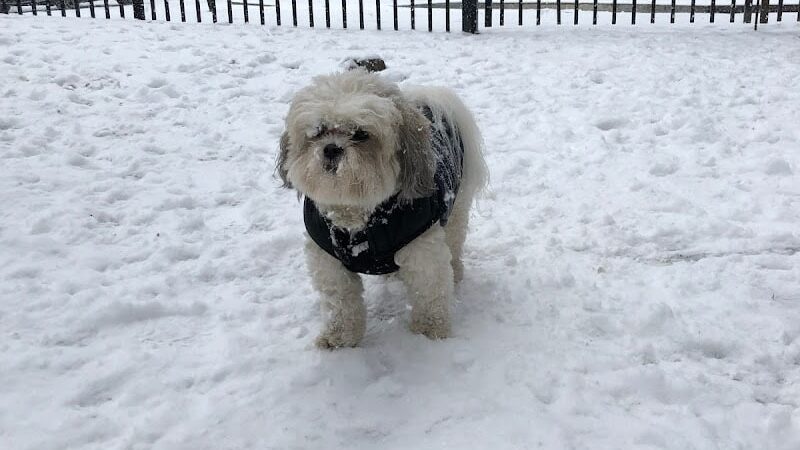 Tucker Dog Park - Philadelphia, PA