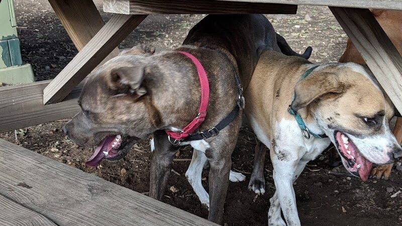 Tucker Dog Park - Philadelphia, PA