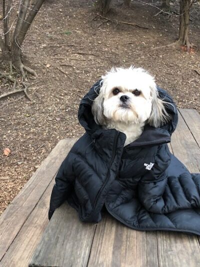 Tucker Dog Park - Philadelphia, PA