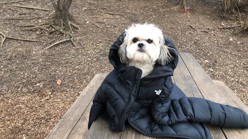 Tucker Dog Park - Philadelphia, PA
