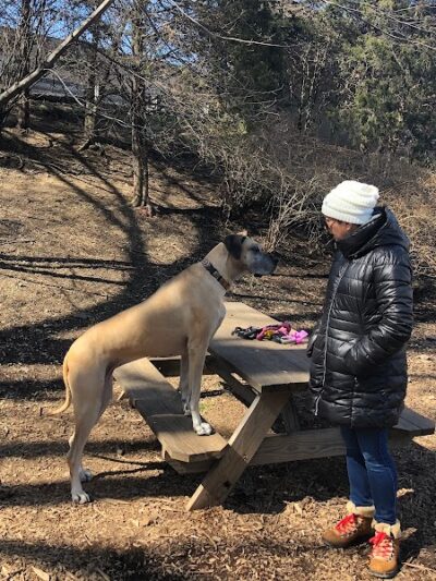 Tucker Dog Park - Philadelphia, PA
