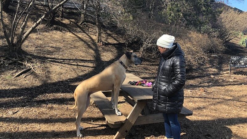 Tucker Dog Park - Philadelphia, PA