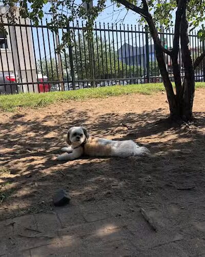 Tucker Dog Park - Philadelphia, PA