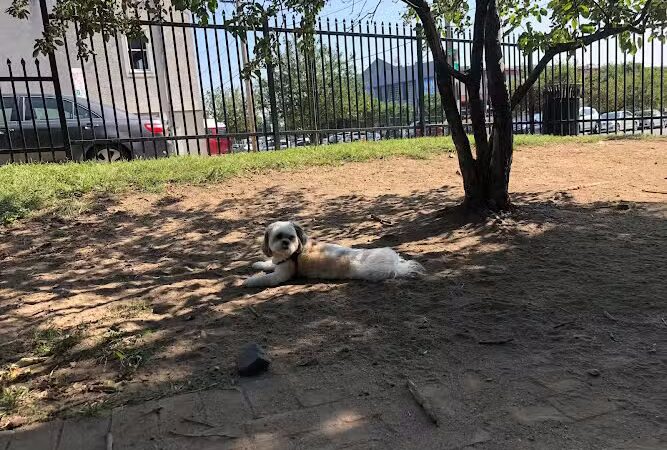 Tucker Dog Park - Philadelphia, PA