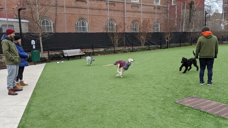 Green Street Dog Park - Membership Required - Philadelphia, PA
