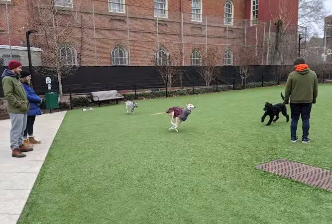 Green Street Dog Park - Membership Required - Philadelphia, PA