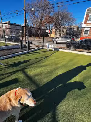 Lanier Dog Park - Philadelphia, PA