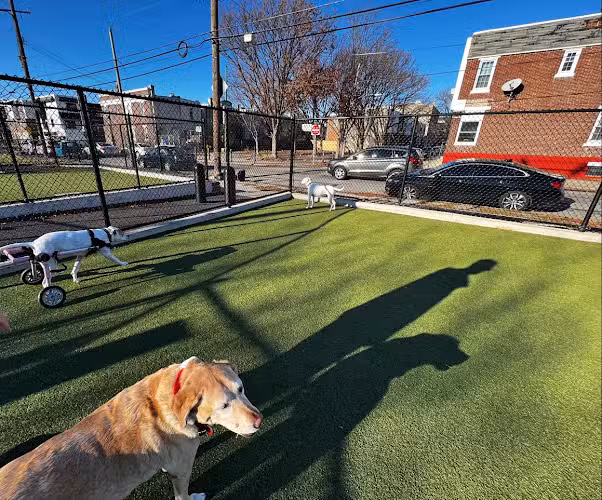 Lanier Dog Park - Philadelphia, PA