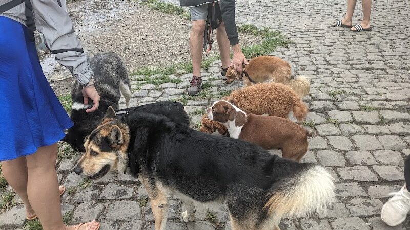 Palmer Doggie Depot - Philadelphia, PA