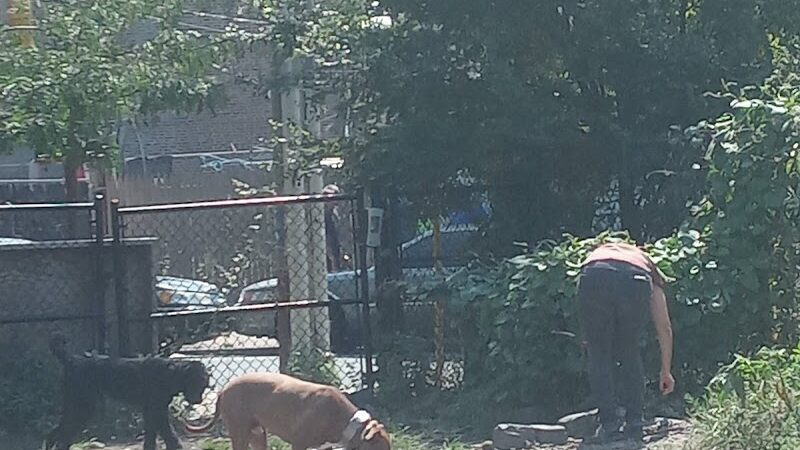 Palmer Doggie Depot - Philadelphia, PA