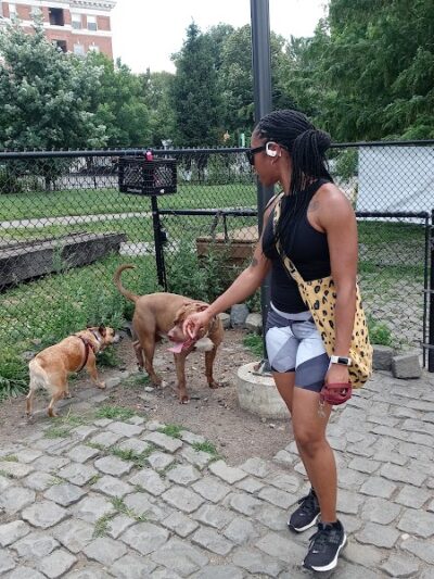 Palmer Doggie Depot - Philadelphia, PA