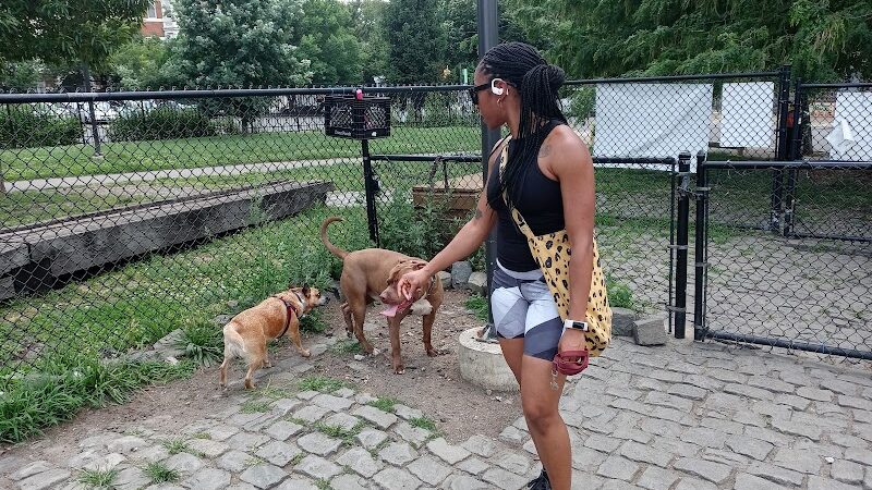 Palmer Doggie Depot - Philadelphia, PA