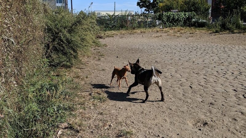 Palmer Doggie Depot - Philadelphia, PA