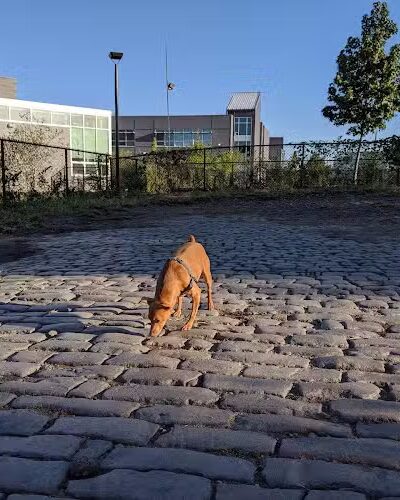 Palmer Doggie Depot - Philadelphia, PA