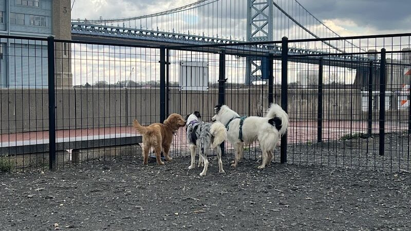 Penn's Landing Dog Park - Philadelphia, PA