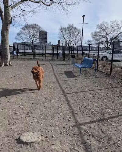 Penn's Landing Dog Park - Philadelphia, PA