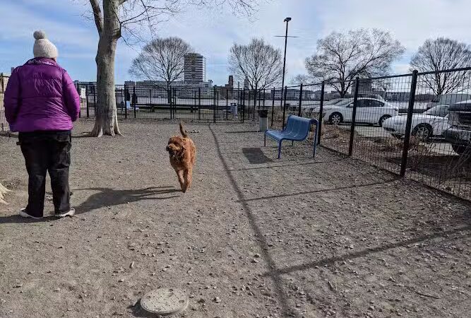 Penn's Landing Dog Park - Philadelphia, PA