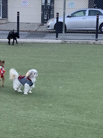 Pops Dogs - Philadelphia, PA