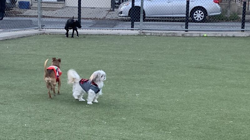 Pops Dogs - Philadelphia, PA
