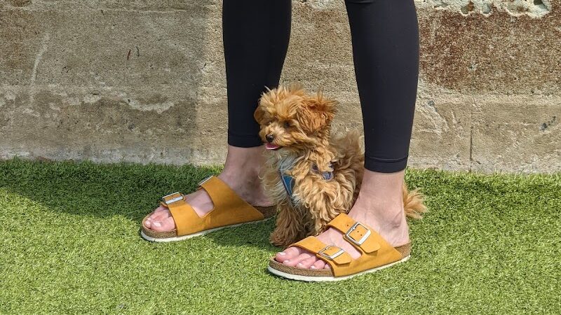 Pops Dogs - Philadelphia, PA