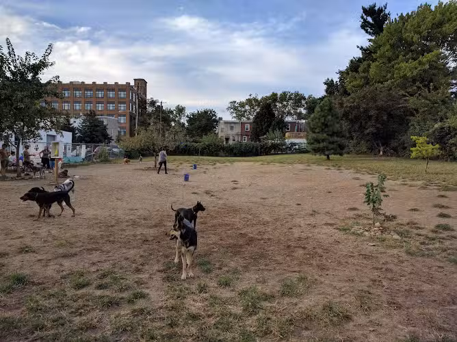 Roxborough Dog Park - Philadelphia, PA