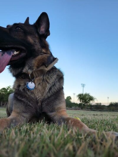 Deem Hills Dog Park - Phoenix, AZ