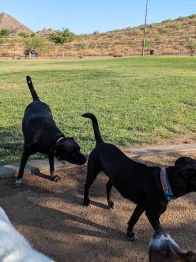 Deem Hills Dog Park - Phoenix, AZ