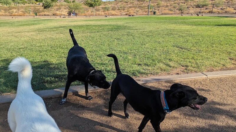Deem Hills Dog Park - Phoenix, AZ