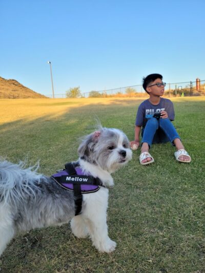 Deem Hills Dog Park - Phoenix, AZ