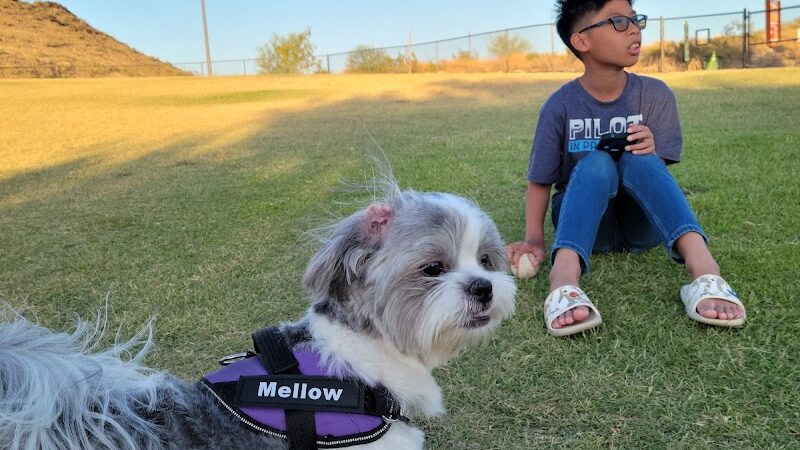 Deem Hills Dog Park - Phoenix, AZ