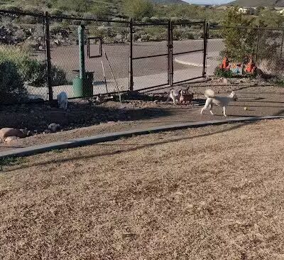 Deem Hills Dog Park - Phoenix, AZ
