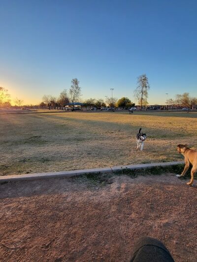 Esteban Dog Park - Phoenix, AZ