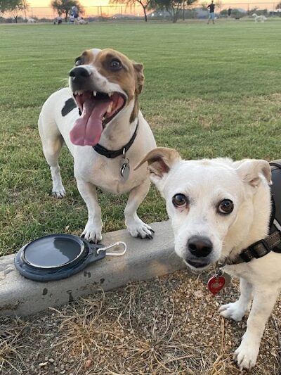 Pinnacle Dog Park - Phoenix, AZ