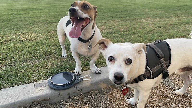 Pinnacle Dog Park - Phoenix, AZ