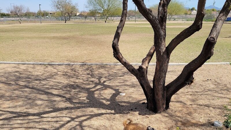 Pinnacle Dog Park - Phoenix, AZ