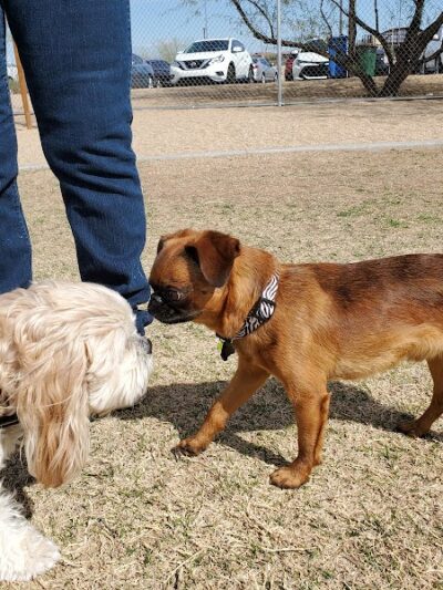 Pinnacle Dog Park - Phoenix, AZ