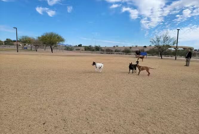 Pinnacle Dog Park - Phoenix, AZ